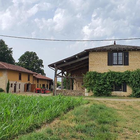 Le Moulin Du Fay Bed & Breakfast Villemotier Ngoại thất bức ảnh